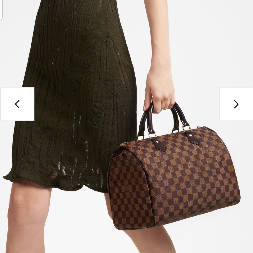 Louis Vuitton Speedy 30 Damier Ebene